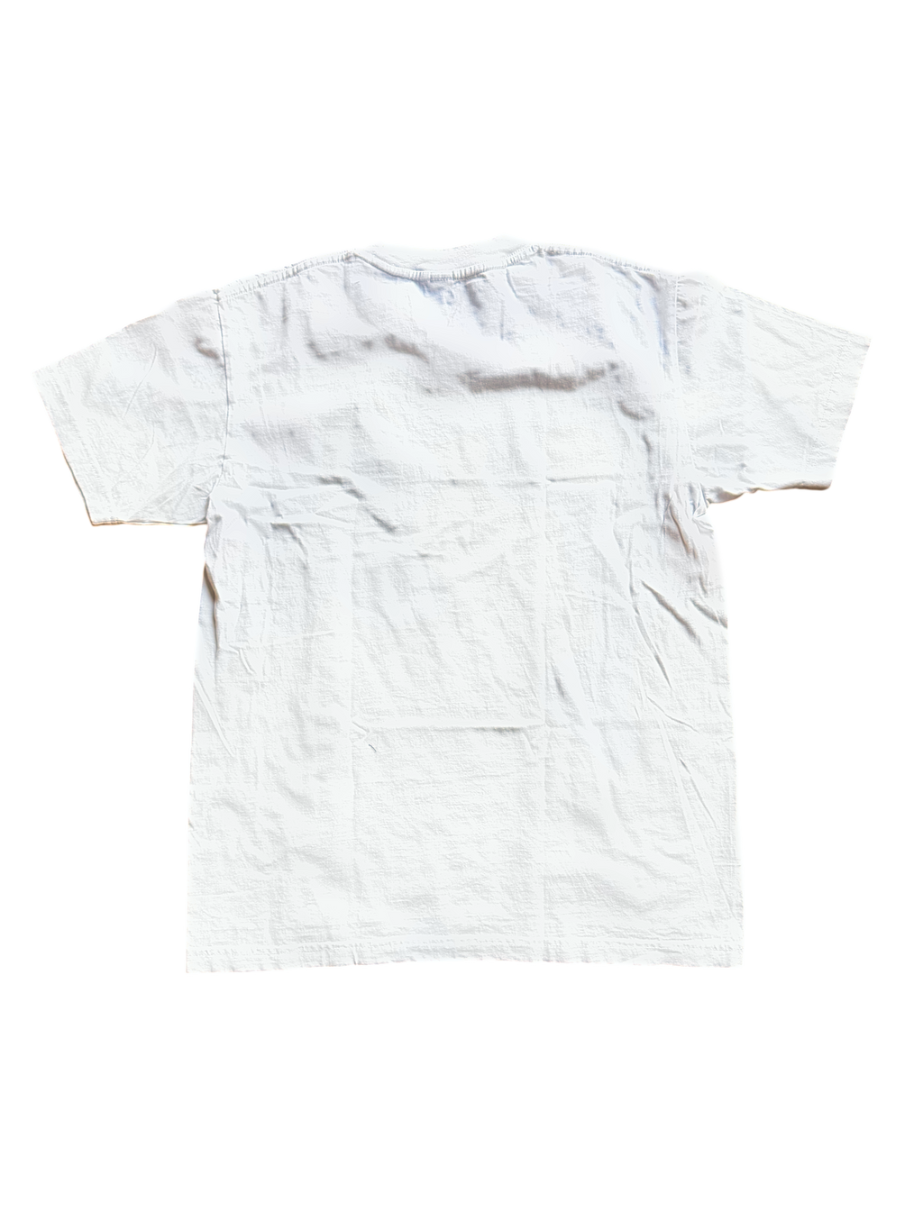 The Beverly Hills Hotel Tee — New, Vintage-Washed