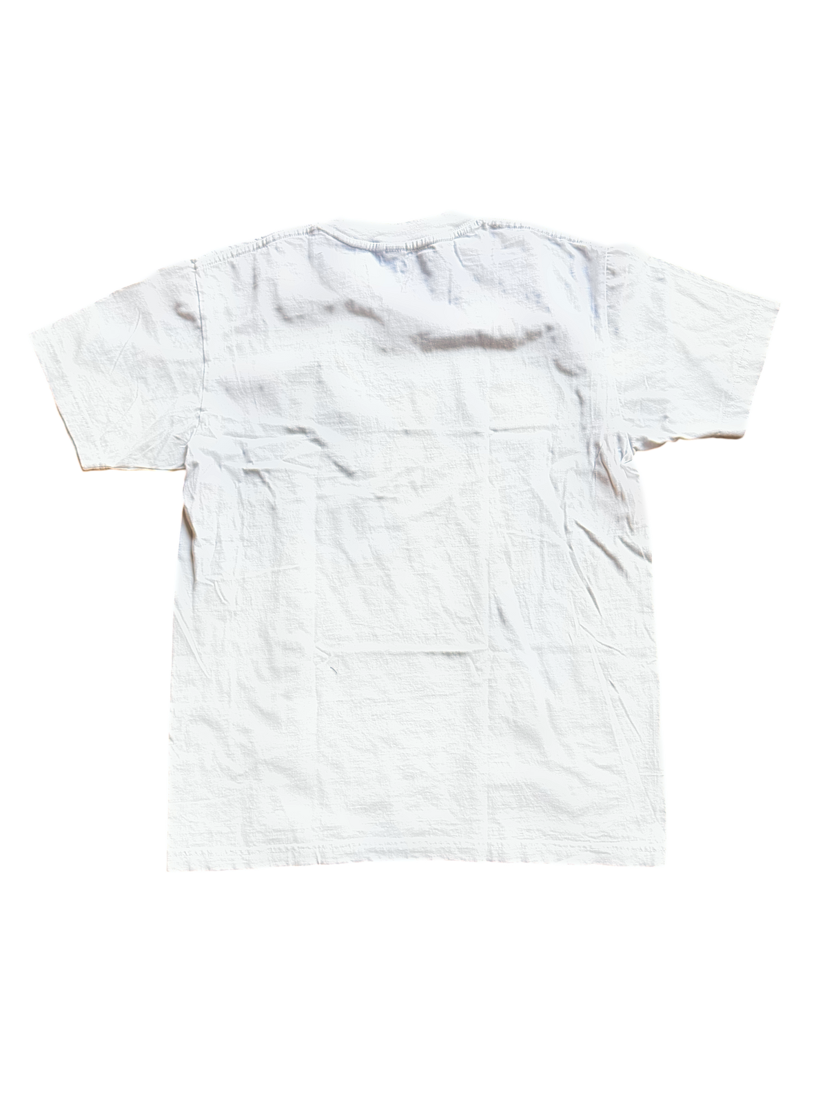 The Beverly Hills Hotel Tee — New, Vintage-Washed